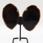Doğal Gece Siyahı ve Kestane Agat İkiz Kanatlar - Endüstriyel Siyah Standlı Koleksiyonluk Sanat Eseri